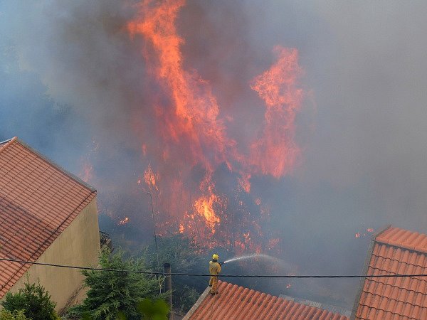 Lesní požáry na portugalském ostrově Madeira zasáhly tamní metropoli, kde spálily několik domů.