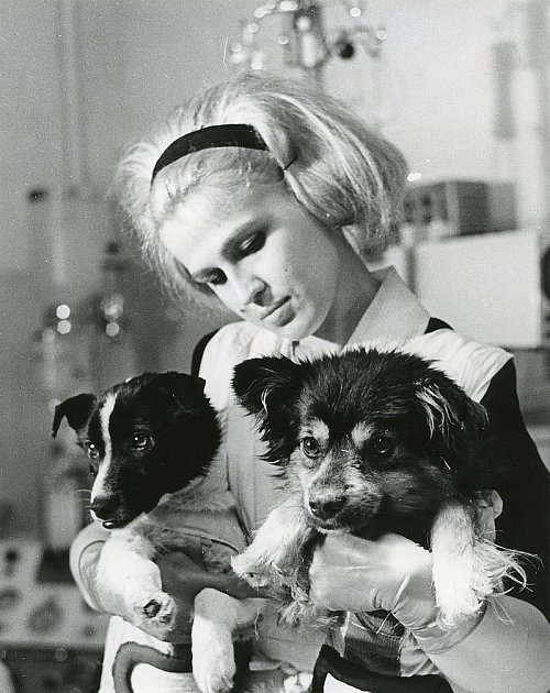 Dvojice sovětských psů Veterok a Ugoľok dodnes drží rekord v délce pobytu psa ve vesmíru.