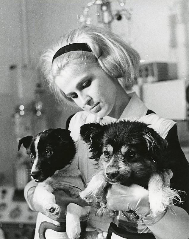 Dvojice sovětských psů Veterok a Ugoľok dodnes drží rekord v délce pobytu psa ve vesmíru.