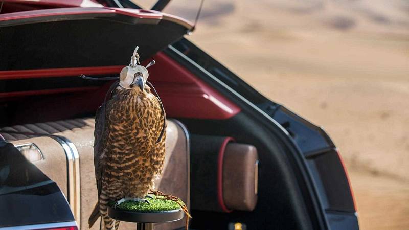 Bentley Bentayga Falconry.