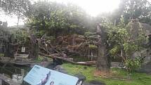 Tchajpejská zoologická zahrada