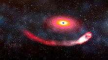Gravitační vlny mohly odhalit černou díru při polykání neutronové hvězdy. Jestli se to potvrdí, půjde o první jev tohoto druhu, jaký kdy byl spatřen