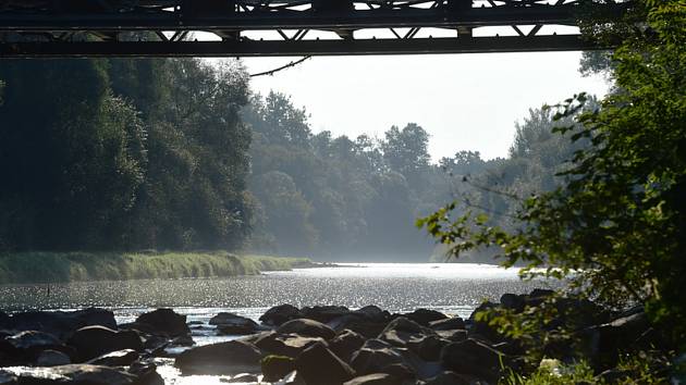Okolí mostu přes řeku Bečvu nedaleko Hustopečí nad Bečvou na Přerovsku, kde před rokem rybáři zaznamenali první otravy ryb na snímku z 15. září 2021.