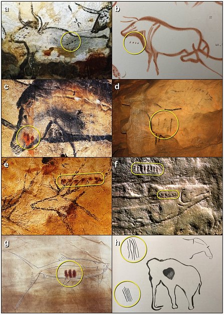 Lidé z doby kamenné žijící v Evropě před 20 tisíci lety možná vymysleli jednoduchou formu písma, aby zaznamenali zvyky lovených zvířat, tvrdí nová studie.