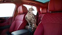 Bentley Bentayga Falconry.