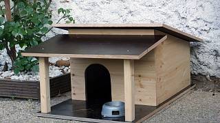 Jak vyrobit psí boudu: Není to nic složitého, přinášíme přesný postup -  Moravskoslezský deník