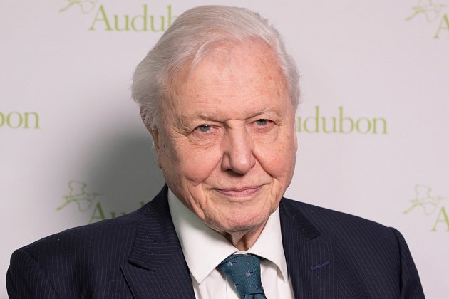 Britský přírodovědec a popularizátor vědy sir David Attenborough