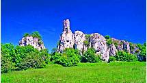 Přírodní rezervace Tabulová. Rozkládá se na Pálavě mezi obcemi Klentnice a Bavory a na pouhých pár kilometrech nabízí hned několik zajímavostí. Mezi nimi je zřícenina Sirotčího hrádku.