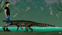 Tento praotec krokodýlů se nazýval Boverisuchus
