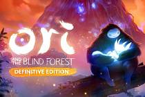 Počítačová hra Ori and the Blind Forest.