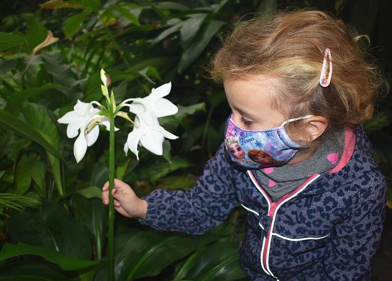 Teplice. Botanická zahrada, návštěvníci