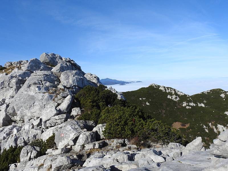 Risnjak byl vyhlášen národním parkem v roce 1953, a to pro svou unikátní geomorfologickou a klimatickou rozmanitost.