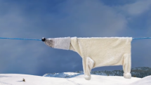 Zobrazení ledního medvěda v zamrzlé krajině