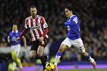 Steven Pienaar (vpravo) z Evertonu a Steven Fletcher ze Sunderlandu