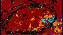 Mikrofotografie ukazující krystaly horninotvorného minerálu amfibol, vybarvené oranžově