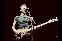 Sting