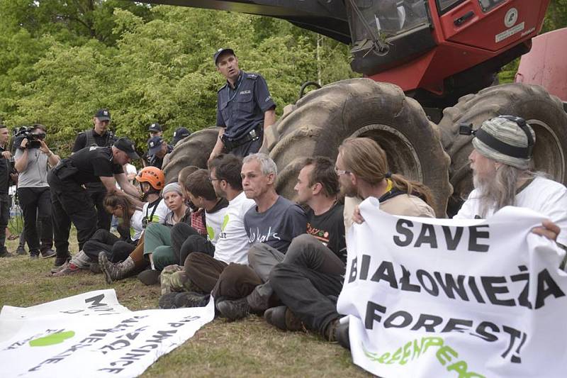 Proti kácení posledního zbytku původního evropského pralesa protestovaly stovky aktivistů