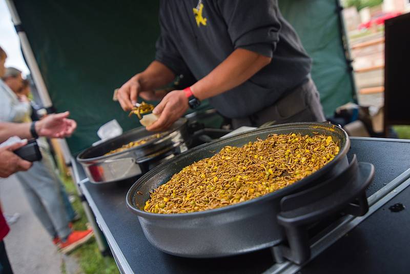 Trutnovský street food piknik