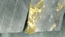 Zlatá žíla těžební společnosti NioGold