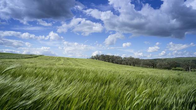 Plastové částice unášené v nižší atmosféře mají vliv na klima planety. Znečištění přírodního prostředí plastem je jedním ze znaků antropocénu.