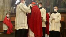 Požehnání kardinála Dominika Duky při příležitosti Květné neděle