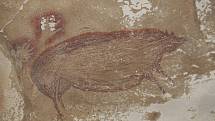 Nejstarší známá zvířecí jeskynní malba se nachází v Indonésii. Vznikla před 45 tisíci lety