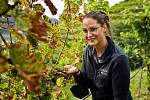 Světově známá oblast Wachau láká na přelomu léta a podzimu před vinobraním, ale i v hlavní turistické sezoně.