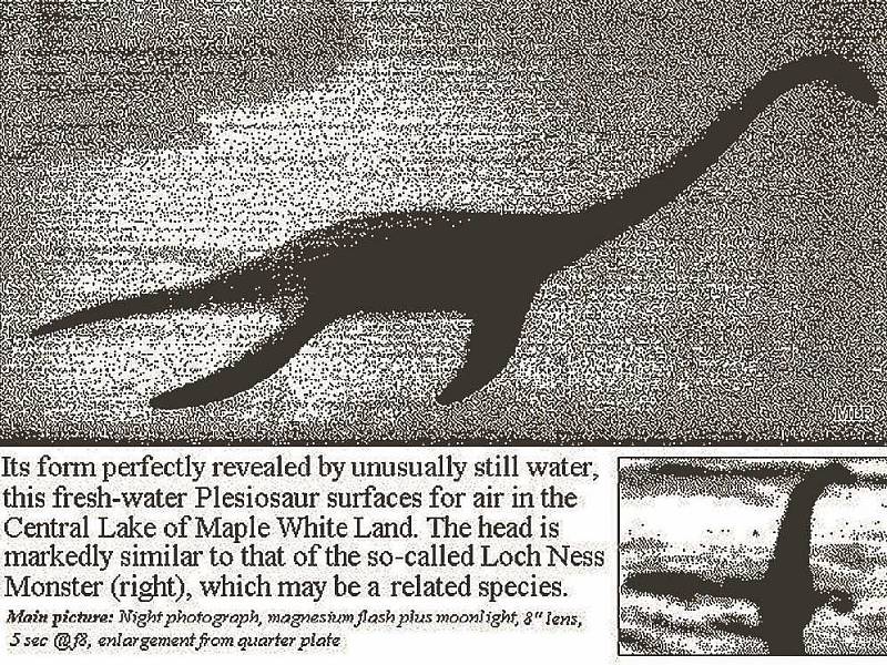 Mnozí nadšenci tvrdí, že plesiosaurus (nahoře) a lochnesská příšera jsou příbuzné druhy.