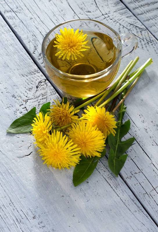 Pampeliška má rovněž všestranné využití – z květů se dá připravit čaj nebo med, z listů se dá udělat třeba špenát