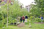 Ideálním místem pro komunitní zahradničení by se mohl stát městský dvorek nebo vnitroblok