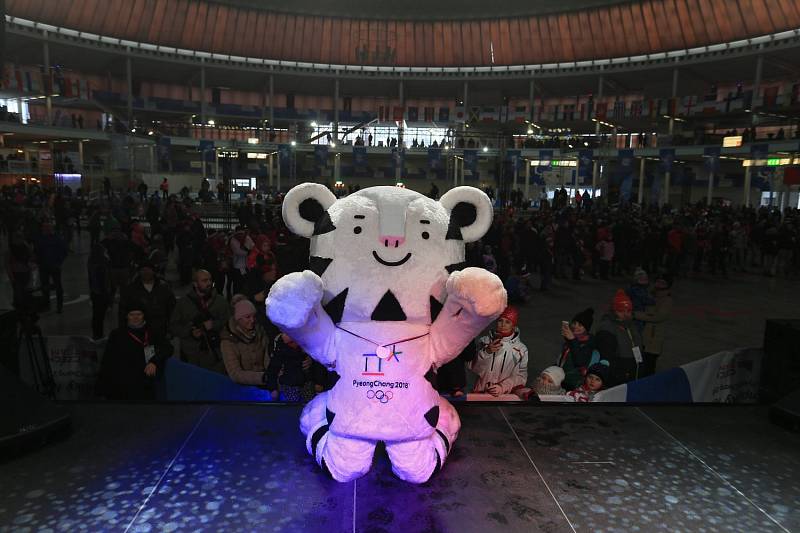 V Brně pokračoval olympijský festival.