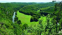 Jediný národní park na Moravě Podyjí je trochu jiný než horské oblasti. Láká kromě krásných výhledů na meandry řeky především unikátními zvířaty a rostlinami.
