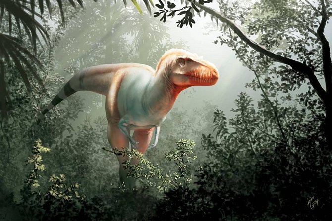 Tak nějak mohl vypadat nový druh tyranosaura, jehož zkamenělá čelist se našla v jižní Albertě