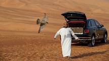 Bentley Bentayga Falconry.