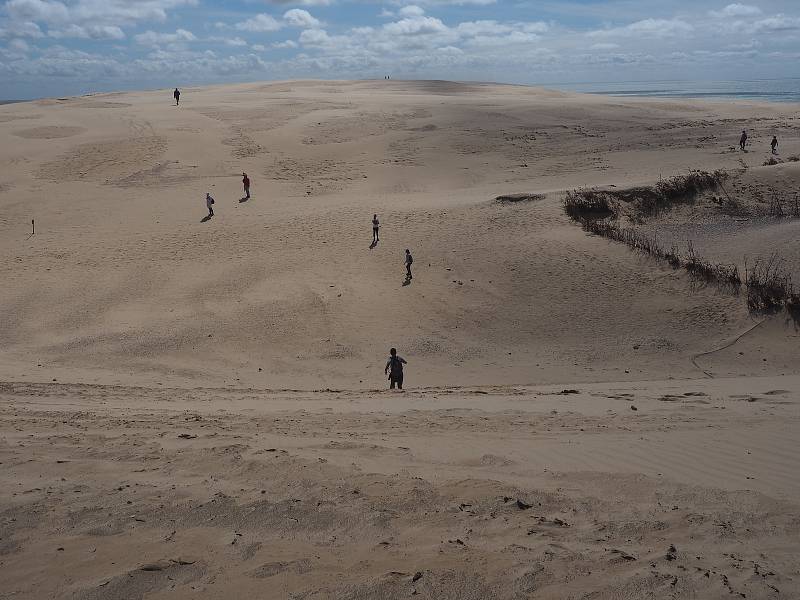 Terénní nerovnosti na Rubjerg Knude milují především děti. V písečné duně dovádějí často jako na zasněženém kopci