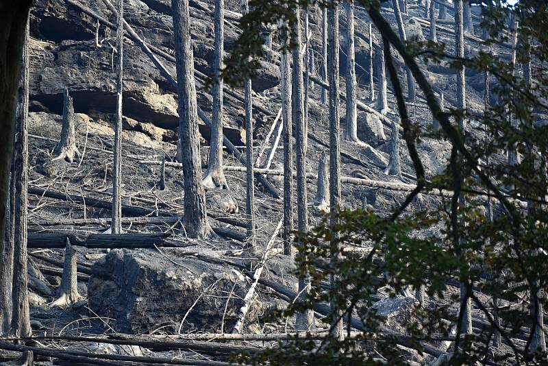 Vypálená planina u Pravčické brány