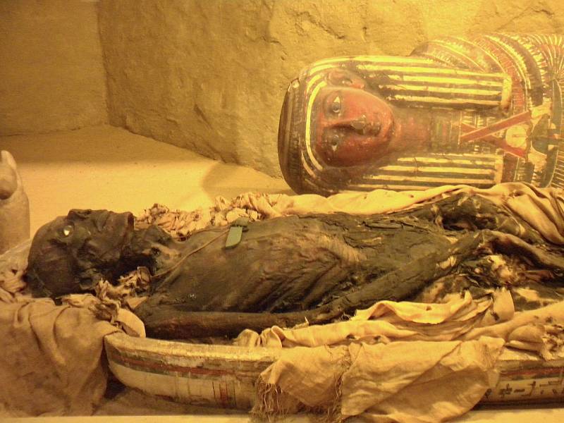 Mumie, kterou vystavuje Akademie přírodních věd ve Philadelphii.
