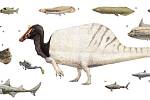Jedna z ilustrací možného vzhledu spinosaura. Vzhled tohoto predátora se v průběhu let, kdy obýval Zemi, měnil, jak se tvor přizpůsoboval prostředí. Na tomto obrázku je spinosaurus zobrazen jako jeden z druhů vodních predátorů.
