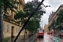 Po bouřce, která se nad Prahou prohnala 26. srpna 2022 vpodvečer, hasiči museli odstranit strom nad kolejištěm tramvaje v Ječné ulici