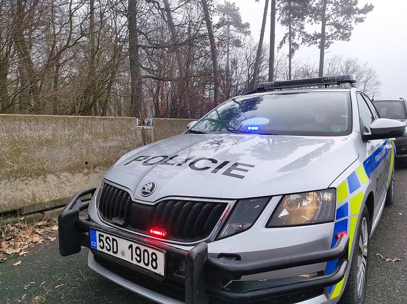 Policisté s celníky se na dálnici D10 zaměřili na dálniční známky.