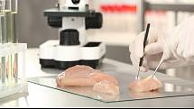 Kuřecí maso vyrobené v laboratoři je považováné za „průlom v globálním potravinářském průmyslu“.