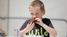 Slavnosti perníku přilákají do Pardubic pokaždé spoustu milovníků této sladkosti. Chutná především dětem.
