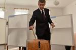 Předseda hnutí ANO Andrej Babiš odevzdal 10. října svůj hlas v komunálních volbách ve volební místnosti na Obecním úřadu v Průhonicích.