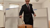 Předseda hnutí ANO Andrej Babiš odevzdal 10. října svůj hlas v komunálních volbách ve volební místnosti na Obecním úřadu v Průhonicích.