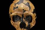 Lebka neandertálce nalezená v jeskyni Šánidar