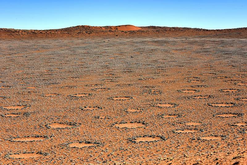 Vílí kruhy v oblasti Marienflusstal v Namibii.
