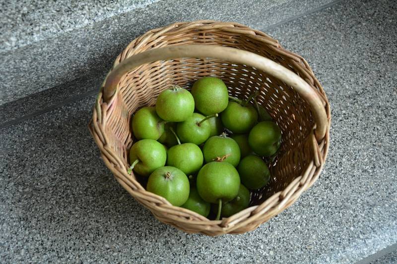 Jablka jsou k výrobě pektinu jak stvořená