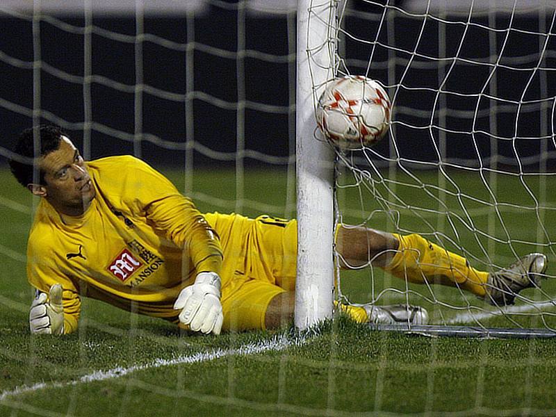 Slavia - Tottenham: Hostujííc gólman RAdek Černý smutně sleduje míč ve své síti.