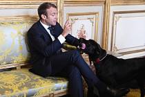 Emmanuel Macron a Nemo
