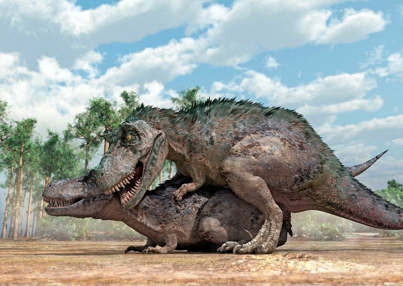 O přesné podobě dinosauřího páření neexistují žádné důkazy